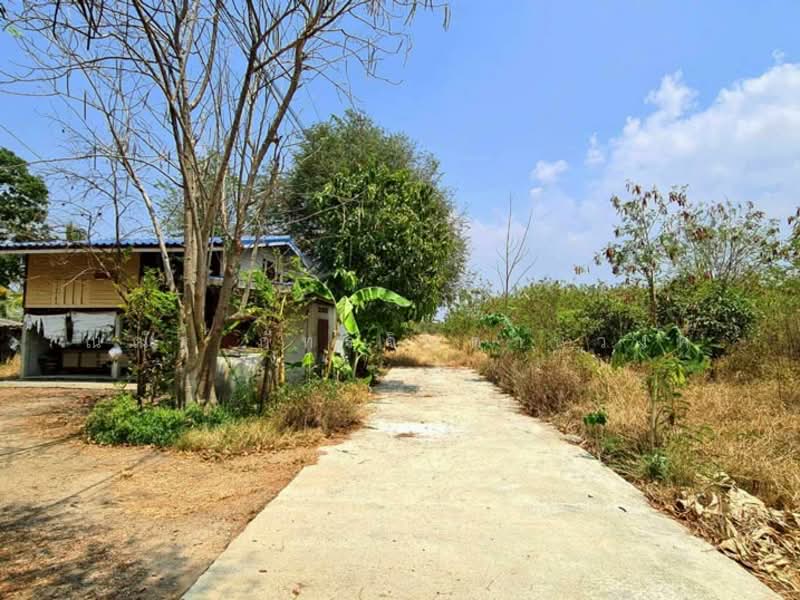 ต.พัฒนานิคม อ.พัฒนานิคม จ.ลพบุรี, Lop Buri, Phatthana Nikhom, Phatthana Nikhom, Lop Buri, , 3,048 sqm, Land For Sale, by ณณัฐ ภัทรจินดานุวงศ์, 500082916 - DDproperty.com