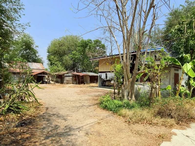 ต.พัฒนานิคม อ.พัฒนานิคม จ.ลพบุรี, Lop Buri, Phatthana Nikhom, Phatthana Nikhom, Lop Buri, , 3,048 sqm, Land For Sale, by ณณัฐ ภัทรจินดานุวงศ์, 500082916 - DDproperty.com