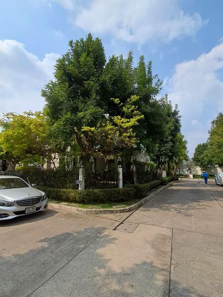 Bangkok Boulevard Rama 9-Srinakarin : บางกอก บูเลอวาร์ด พระราม 9-ศรีนครินทร์, กรุงเทพ, ถนนกรุงเทพกรีฑา, สะพานสูง, สะพานสูง, กรุงเทพ, 220 ตร.ม., บ้านเดี่ยว ขาย, โดย Tittayaporn Kim (Jenny), 500083454 - DDproperty.com