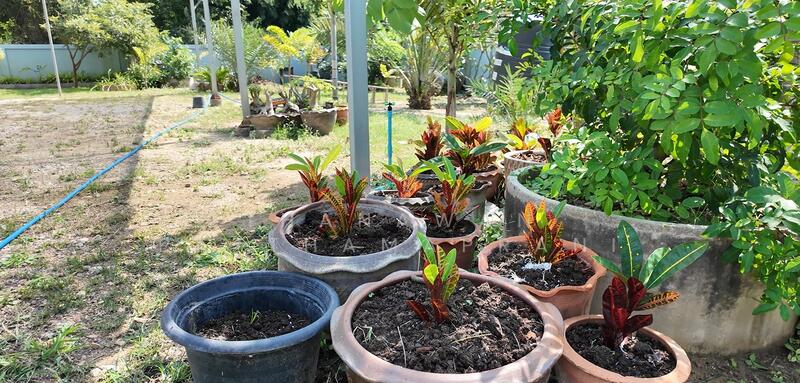 For Sale - Pool Villa & Garden, Phetchaburi