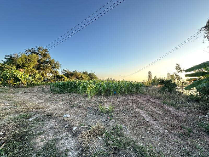 ขาย - ที่ดินสวย, กาฬสินธุ์