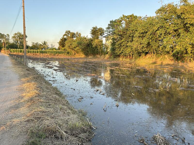 ขาย - ที่ดินสวย, กาฬสินธุ์