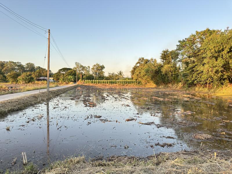 ขาย - ที่ดินสวย, กาฬสินธุ์