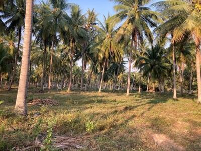 ขาย - ที่ใกล้ทะเล หัวหิน ทับสะแก ประจวบคีรีขันธ์, ประจวบคีรีขันธ์