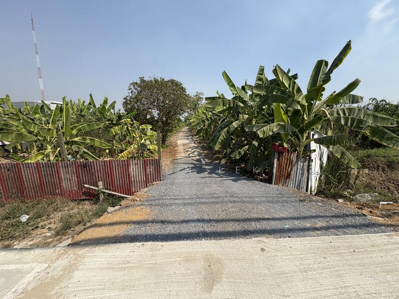 For Sale - The land is located next to a 4-lane road, Route 3004 (Khlong 7), Lam Luk Ka, and Rangsit-Nakhon, Pathum Thani