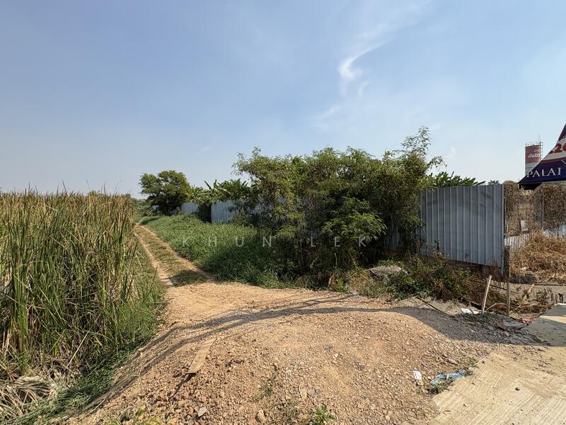 For Sale - The land is located next to a 4-lane road, Route 3004 (Khlong 7), Lam Luk Ka, and Rangsit-Nakhon, Pathum Thani