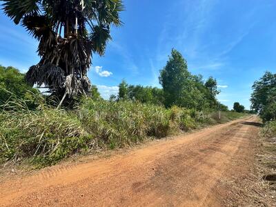 ขาย - คลอง 8 ปทุมธานี, ปทุมธานี