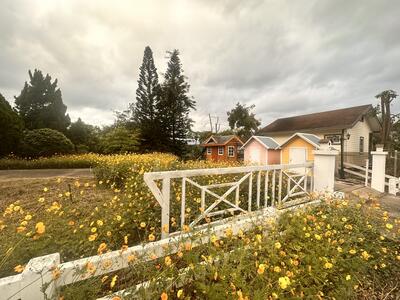 ขาย - ขายที่ดินเขาใหญ่บนเนิน เห็นภูเขาสวยตั้งแต่ซ้ายจรดขวา สวยสมญานามสวิตเซอร์เเลนด์เมืองไทย, นครราชสีมา