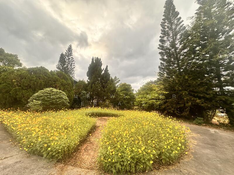 For Sale - ขายที่ดินเขาใหญ่บนเนิน เห็นภูเขาสวยตั้งแต่ซ้ายจรดขวา สวยสมญานามสวิตเซอร์เเลนด์เมืองไทย, Nakhon Ratchasima