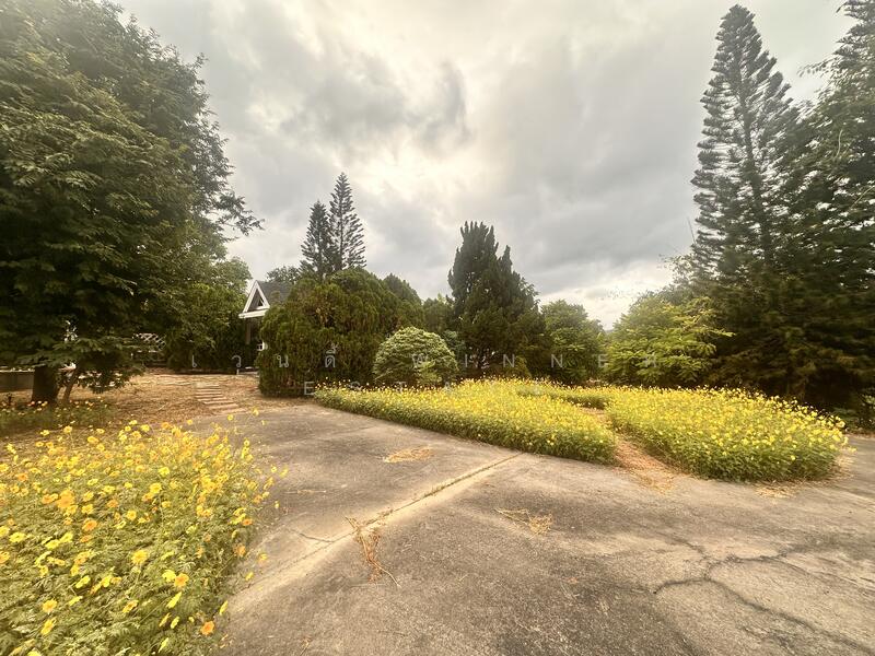 For Sale - ขายที่ดินเขาใหญ่บนเนิน เห็นภูเขาสวยตั้งแต่ซ้ายจรดขวา สวยสมญานามสวิตเซอร์เเลนด์เมืองไทย, Nakhon Ratchasima