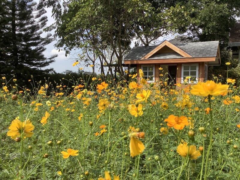 For Sale - ขายที่ดินเขาใหญ่บนเนิน เห็นภูเขาสวยตั้งแต่ซ้ายจรดขวา สวยสมญานามสวิตเซอร์เเลนด์เมืองไทย, Nakhon Ratchasima