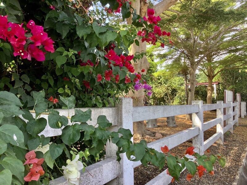 For Sale - ขายที่ดินเขาใหญ่บนเนิน เห็นภูเขาสวยตั้งแต่ซ้ายจรดขวา สวยสมญานามสวิตเซอร์เเลนด์เมืองไทย, Nakhon Ratchasima