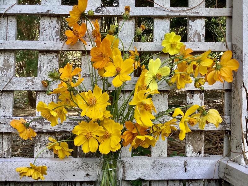 For Sale - ขายที่ดินเขาใหญ่บนเนิน เห็นภูเขาสวยตั้งแต่ซ้ายจรดขวา สวยสมญานามสวิตเซอร์เเลนด์เมืองไทย, Nakhon Ratchasima