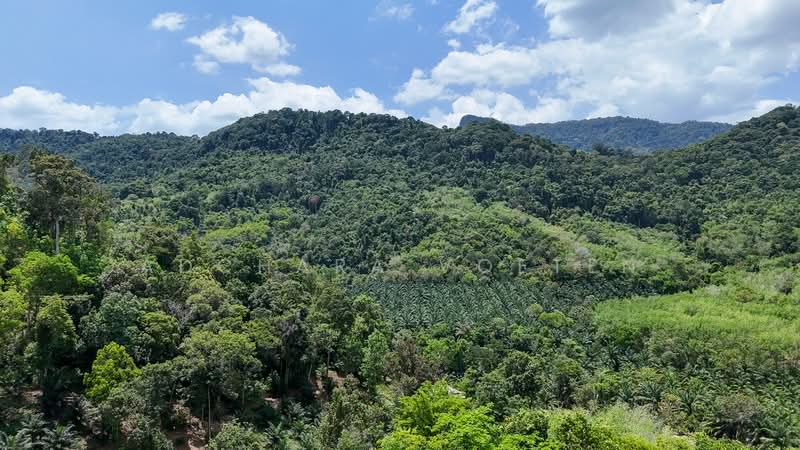 Din Daeng Sea View, Krabi, กระบี่, Krabi, Nong Tale, Muang Krabi, Krabi, , 11,468 sqm, Land For Sale, by Adchara Voeten, 500084484 - DDproperty.com