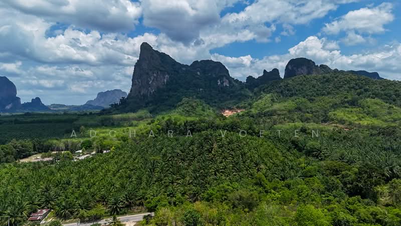 Din Daeng Sea View, Krabi, กระบี่, Krabi, Nong Tale, Muang Krabi, Krabi, , 11,468 sqm, Land For Sale, by Adchara Voeten, 500084484 - DDproperty.com