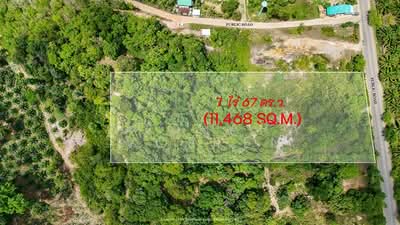 ขาย - ที่ดิน ซีวิว ดินแดง กระบี่, Krabi, กระบี่