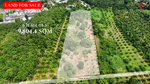 Future Growth Land, Krabi City, กระบี่