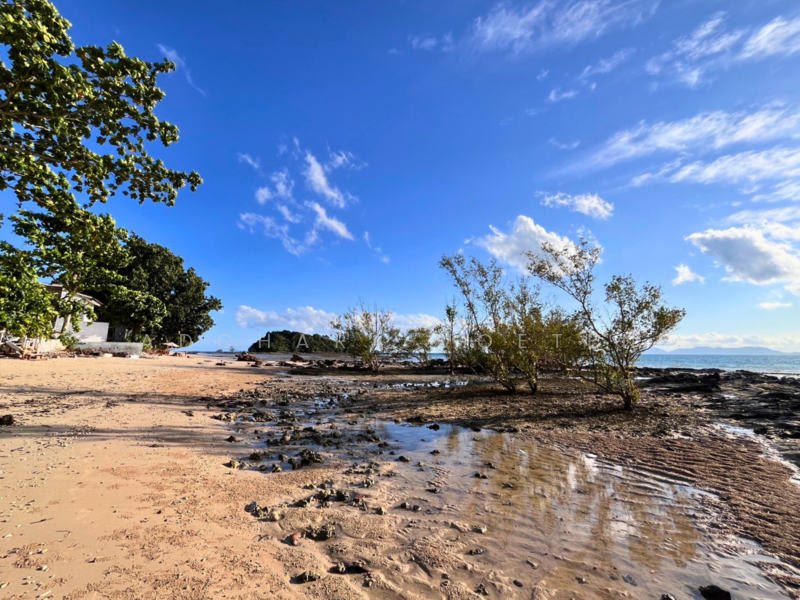 ขาย - ที่ดินใจกลางหาดคลองม่วง, กระบี่, Krabi, กระบี่