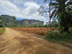 Baan Na Mee Land, Krabi, กระบี่