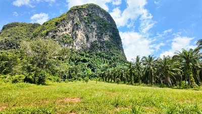 ขาย - ที่ดินวิวทะเลทำเลทอง หนองทะเล กระบี่, Krabi, กระบี่