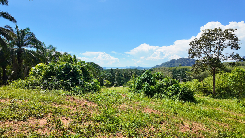 ที่ดินวิวทะเลทำเลทอง หนองทะเล กระบี่, Krabi, กระบี่, หนองทะเล, เมืองกระบี่, กระบี่, 6,920 ตร.ม., ที่ดิน ขาย, โดย Adchara Voeten, 500084546 - DDproperty.com