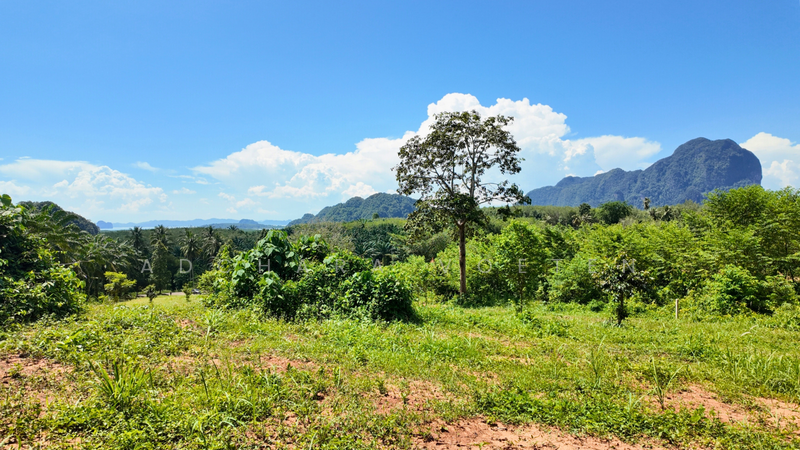 ที่ดินวิวทะเลทำเลทอง หนองทะเล กระบี่, Krabi, กระบี่, หนองทะเล, เมืองกระบี่, กระบี่, 6,920 ตร.ม., ที่ดิน ขาย, โดย Adchara Voeten, 500084546 - DDproperty.com