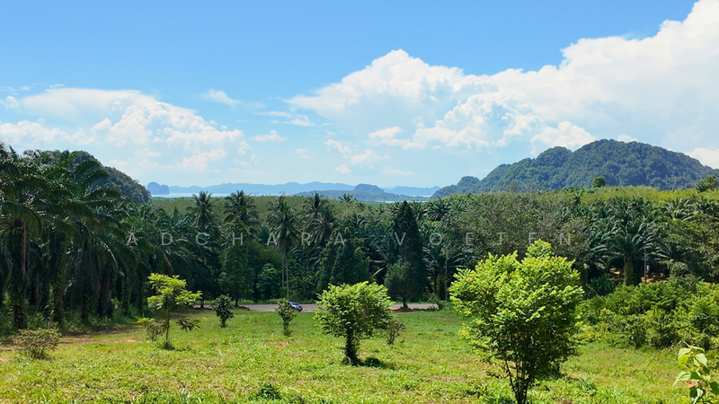 ที่ดินวิวทะเลทำเลทอง หนองทะเล กระบี่, Krabi, กระบี่, หนองทะเล, เมืองกระบี่, กระบี่, 6,920 ตร.ม., ที่ดิน ขาย, โดย Adchara Voeten, 500084546 - DDproperty.com