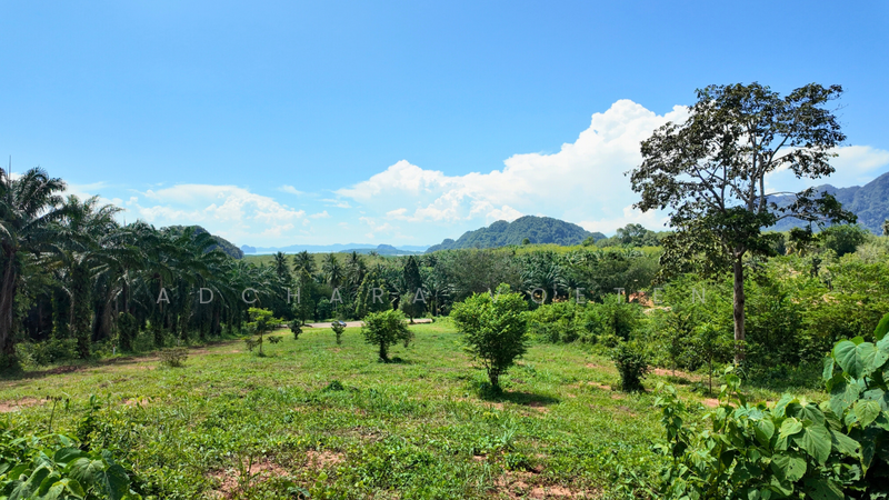 ที่ดินวิวทะเลทำเลทอง หนองทะเล กระบี่, Krabi, กระบี่, หนองทะเล, เมืองกระบี่, กระบี่, 6,920 ตร.ม., ที่ดิน ขาย, โดย Adchara Voeten, 500084546 - DDproperty.com