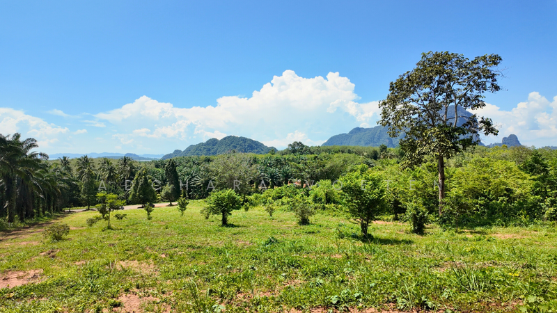 Prime Sea View Land, Nong Talay, Krabi, กระบี่, Krabi, Nong Tale, Muang Krabi, Krabi, , 6,920 sqm, Land For Sale, by Adchara Voeten, 500084546 - DDproperty.com