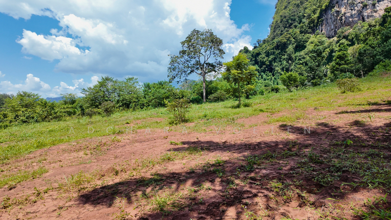 ที่ดินวิวทะเลทำเลทอง หนองทะเล กระบี่, Krabi, กระบี่, หนองทะเล, เมืองกระบี่, กระบี่, 6,920 ตร.ม., ที่ดิน ขาย, โดย Adchara Voeten, 500084546 - DDproperty.com