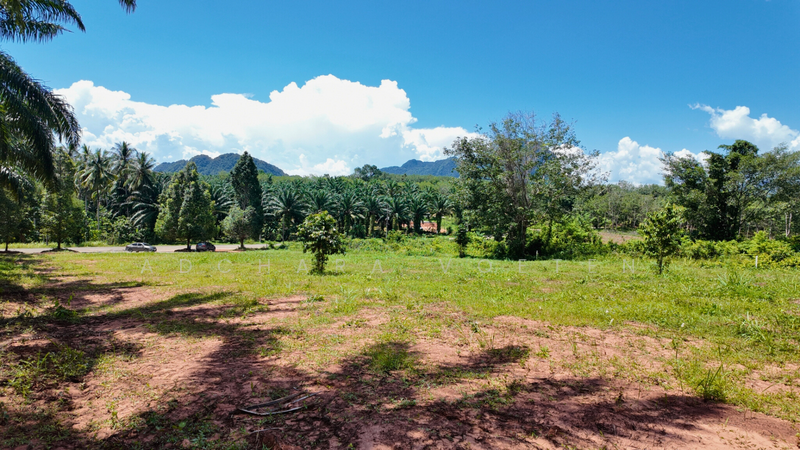 ที่ดินวิวทะเลทำเลทอง หนองทะเล กระบี่, Krabi, กระบี่, หนองทะเล, เมืองกระบี่, กระบี่, 6,920 ตร.ม., ที่ดิน ขาย, โดย Adchara Voeten, 500084546 - DDproperty.com