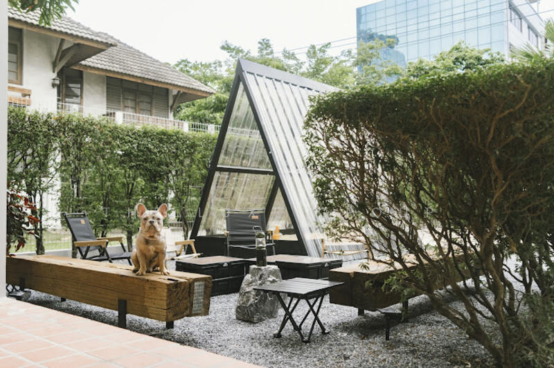 Pet friendly house in Bangchak, กรุงเทพ, บางจาก, พระโขนง, กรุงเทพ, 140 ตร.ม., บ้านเดี่ยว ให้เช่า, โดย The Luxe Group, 500084752 - DDproperty.com