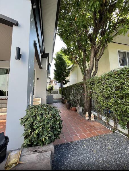 Pet friendly house in Bangchak, กรุงเทพ, บางจาก, พระโขนง, กรุงเทพ, 140 ตร.ม., บ้านเดี่ยว ให้เช่า, โดย The Luxe Group, 500084752 - DDproperty.com