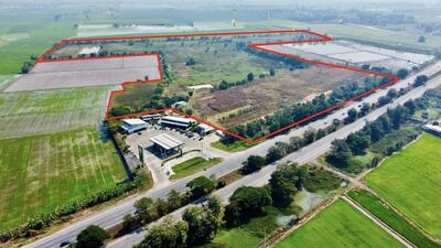 ขาย - ที่ดิน ติดถนนสายเอเชีย จ.ชัยนาท 130 ไร่ ( ถมแล้ว), ชัยนาท