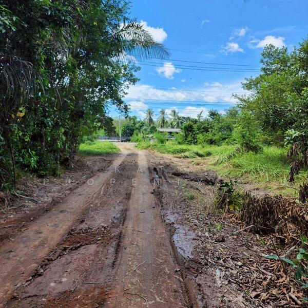 ขาย - ขายที่ดินสวย อ.เทพา, สงขลา