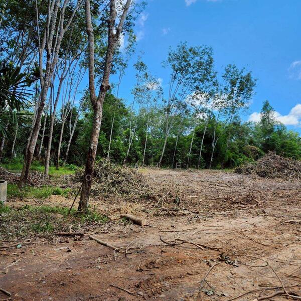 ขาย - ขายที่ดินสวย อ.เทพา, สงขลา