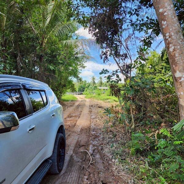 ขาย - ขายที่ดินสวย อ.เทพา, สงขลา