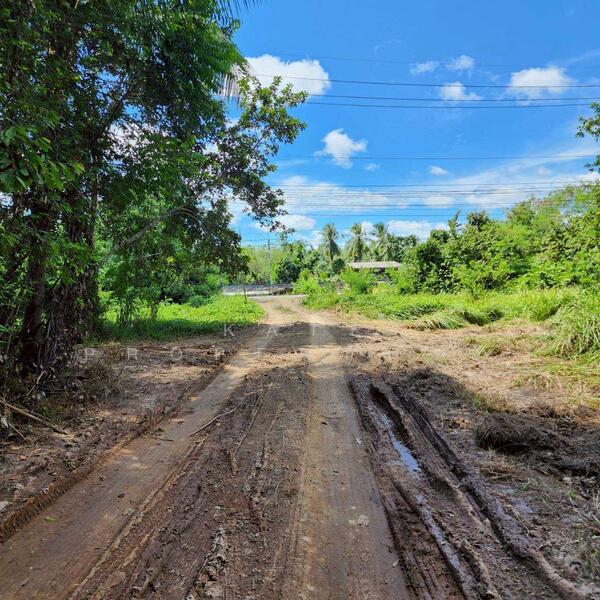 ขาย - ขายที่ดินสวย อ.เทพา, สงขลา