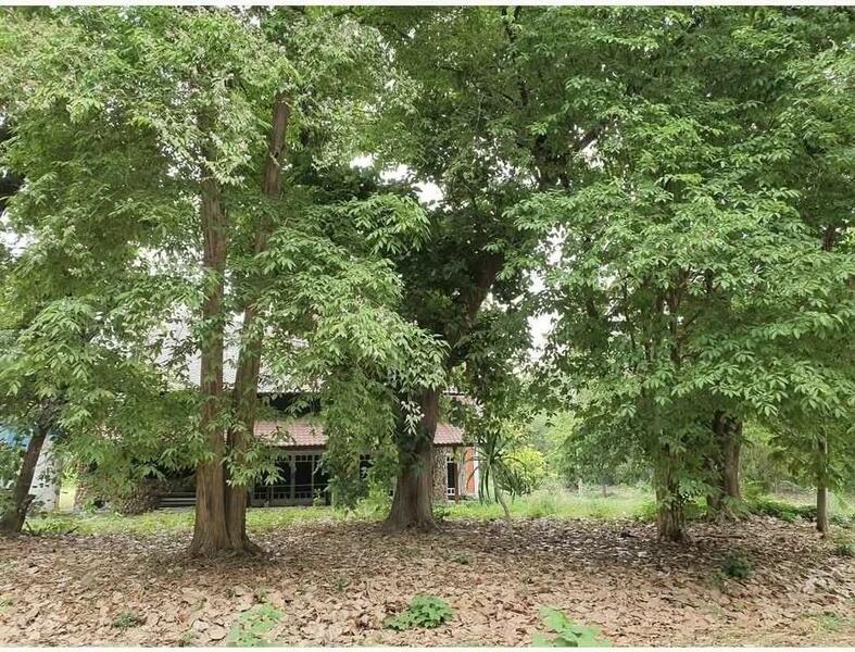 For Sale - บ้านไร่, Uthai Thani