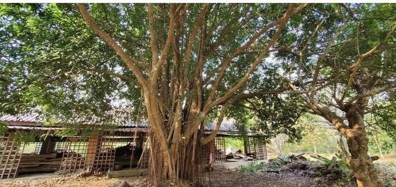 ขาย - บ้านไร่, อุทัยธานี