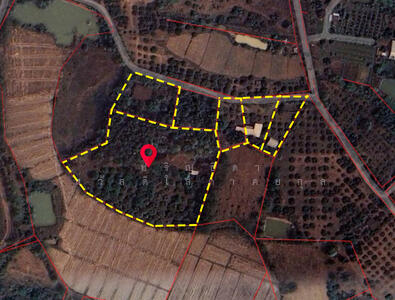 ขาย - เชียงราย, เชียงราย