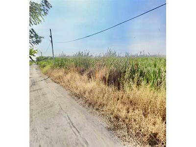 ขาย - ที่ดินเปล่า 155 ตร.ว. ที่ดิน ใกล้วัดพทิพาวาส ถนนคุ้มเกล้า, กรุงเทพ