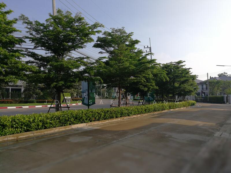 ให้เช่า - Baanfah Greenery Pinklao-Sai 5 : บ้านฟ้ากรีนเนอรี่ ปิ่นเกล้า-สาย 5, นครปฐม