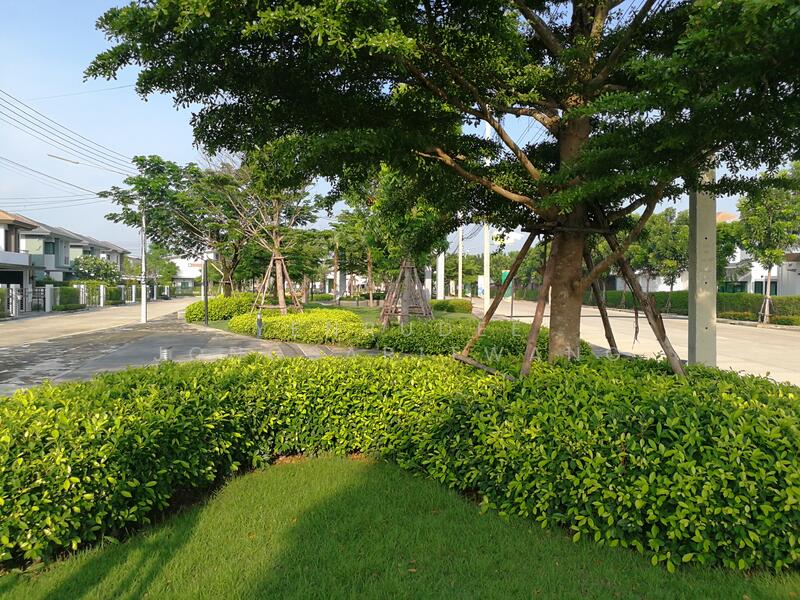 ให้เช่า - Baanfah Greenery Pinklao-Sai 5 : บ้านฟ้ากรีนเนอรี่ ปิ่นเกล้า-สาย 5, นครปฐม