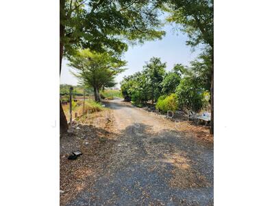 ขาย - ขาย ที่ดิน ที่ดินสำเร็จพัฒนา3, นนทบุรี