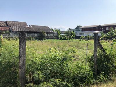 ขาย - ขายที่ดิน 194 ตร.วา ใกล้โรงแรมท๊อปแลนด์ อ.เมืองพิษณุโลก, พิษณุโลก