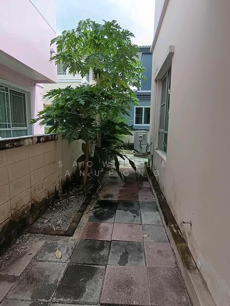 ให้เช่า - Moobaan Chollada Suvarnabhumi : หมู่บ้านชลลดา สุวรรณภูมิ, สมุทรปราการ