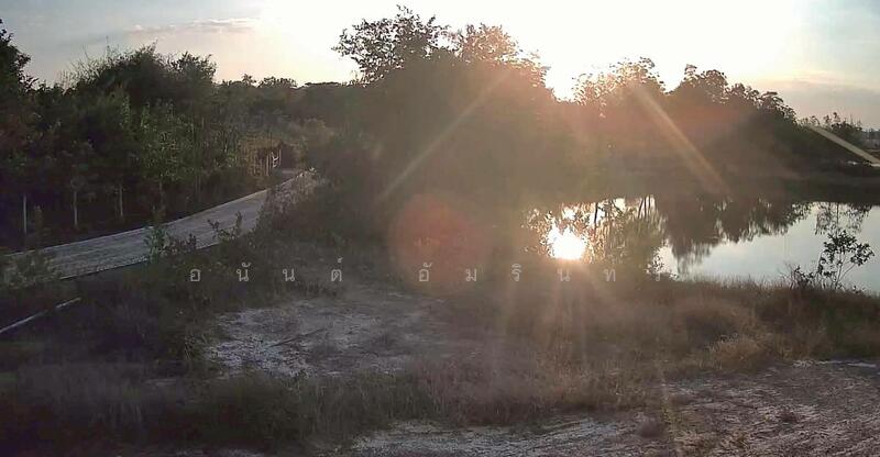 ขาย - ขายที่ดิน 24 ไร่ 1 งาน 88 ตร.ว. ติดถนนคอนกรีต ใกล้ทางหลางชนบท พช 3052, เพชรบุรี