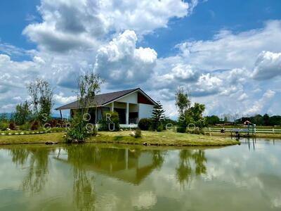 ขาย - ZENSEI แม่ริม, เชียงใหม่