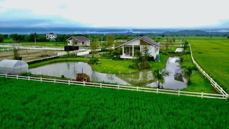 For Sale - ZENSEI แม่ริม, Chiang Mai